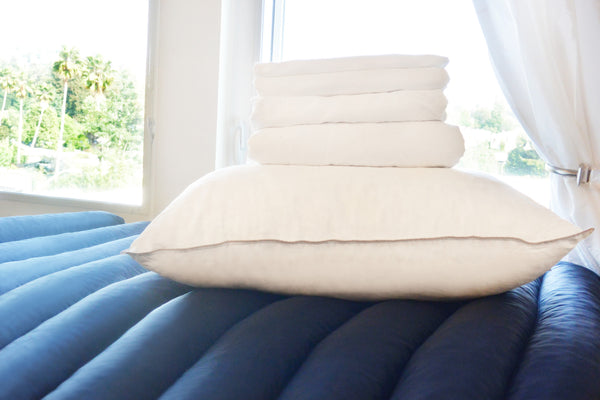 Complete Knockout Bundle (Dorm Kit)