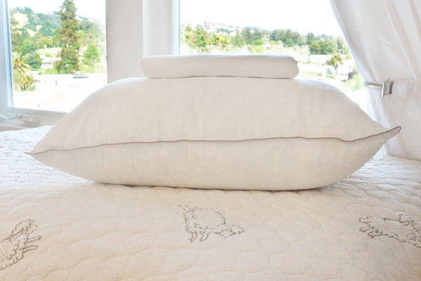 Starter Natural Hibernation Bundle (Dorm Kit)